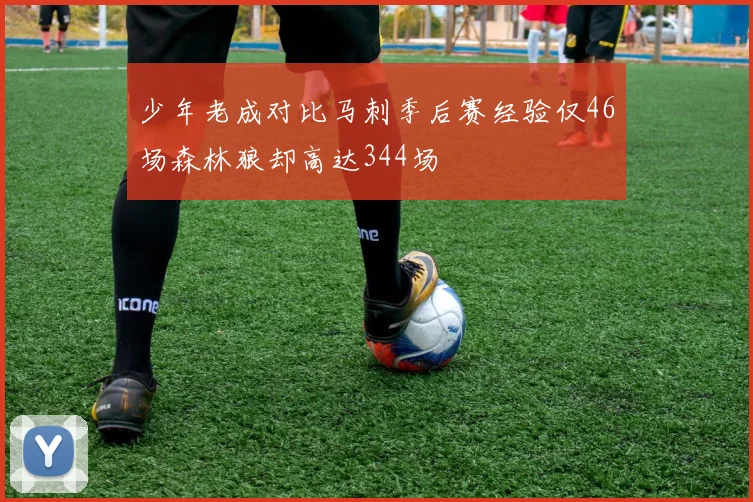 少年老成对比马刺季后赛经验仅46场森林狼却高达344场